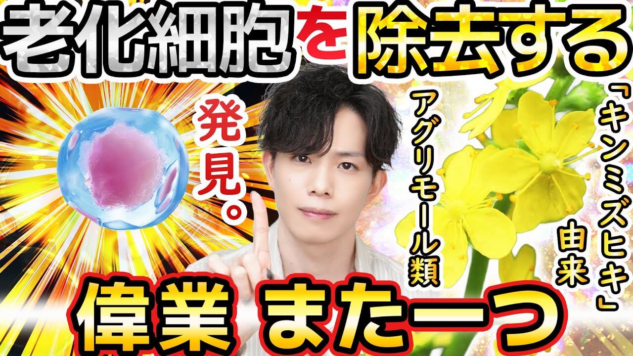 【偉業、また1つ】ファンケルも“老化細胞を除去する”新成分を発見!キンミズヒキ由来アグリモール類